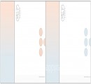 하늘체-글라데이션(쇼핑백)-소 200장